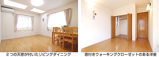 新井室内２
